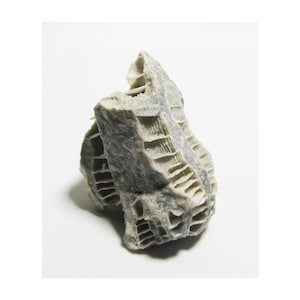 Puede incluir: Una formación rocosa gris y texturizada con un patrón de panal. La roca tiene una superficie rugosa y un aspecto natural. El objeto está sobre un fondo blanco.