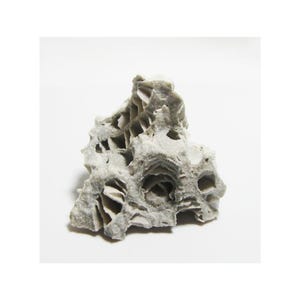 Puede incluir: Una formación rocosa porosa de color gris claro, con una estructura compleja y estratificada. La roca presenta numerosos agujeros y aberturas, creando una apariencia texturizada. La forma general es irregular y orgánica, con un aspecto natural y desgastado.