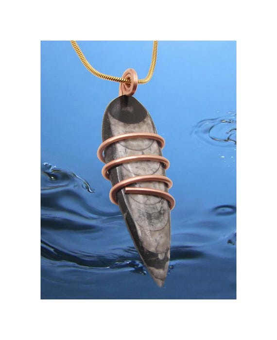 Ancient Shadow Hunters of Deep Sea Moroccan Art Jewelry Ocean Pendant Paleozoic Orthocereas Unique Science Gift Shell Jewelry Fossil #2-4
