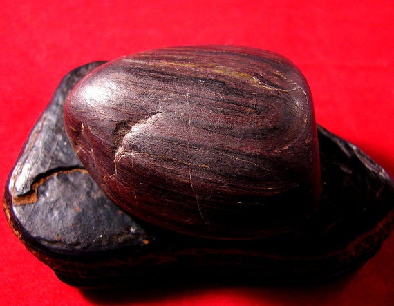 Natural Genesis Stone Jasper Banded Iron Grounding Root Chakra #300-305