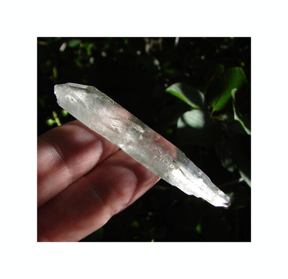 Russian Lemurian Sacred Scribe Quartz Crystal, Old Stock, Tabby #6