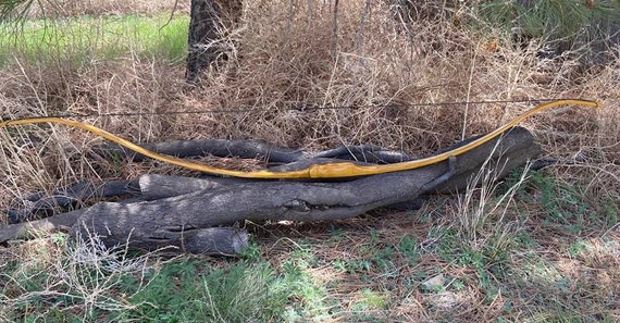 NEW 75# pound Gorgeous Strong Osage Orange Primitive Long Self Bow 72.5" Long