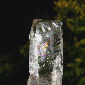 May include: A clear, prismatic crystal with a rough, textured surface. The crystal reflects a rainbow of colors, with hints of green, blue, and yellow. The background is a blurred view of green foliage.