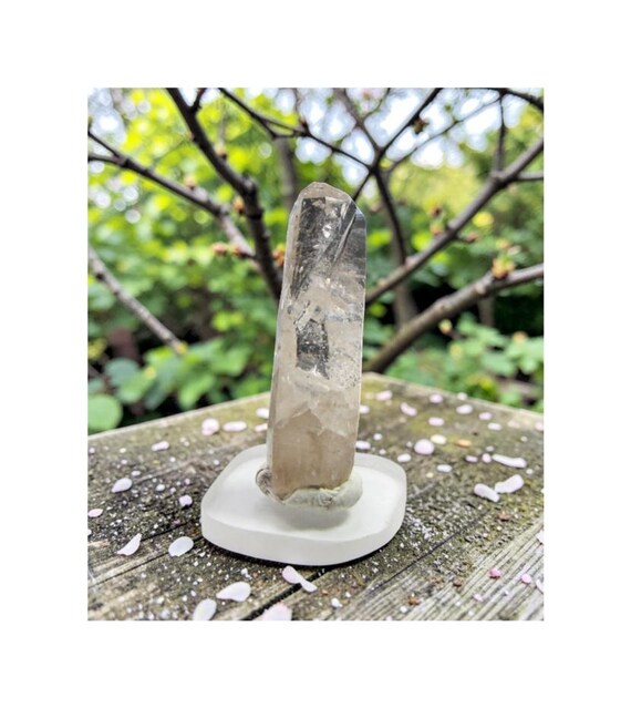 La Garita LaGarita Amethyst Scepter Destiny Quartz #20-26