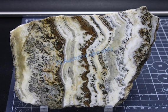 HUGH Silver Lace Onyx, Large Slab, Excellent Pattern 13.3 oz, Old Stock