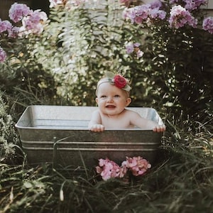 May include: A baby in a galvanized metal tub, surrounded by greenery and pink flowers. The baby wears a headband with a red rose. The tub is set in a garden setting, with a soft, natural light.