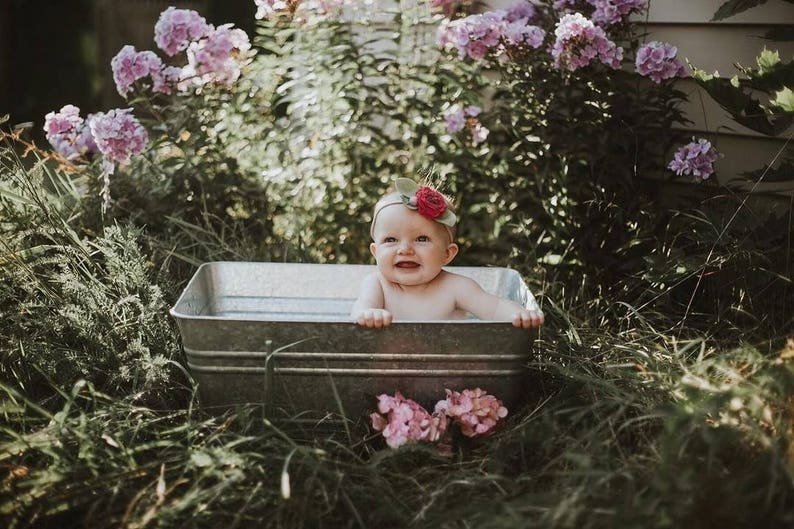 May include: A baby in a galvanized metal tub, surrounded by greenery and pink flowers. The baby wears a headband with a red rose. The tub is set in a garden setting, with a soft, natural light.