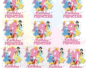Custom Disney Birthday Princess PNG Bundle for Girl, Design for Birthday Party Tshirt, Ariel Elsa Rapunzel Design, Disney party Png