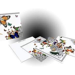 Papillon Notitiekaarten (4 kwadrant Pack) - wit