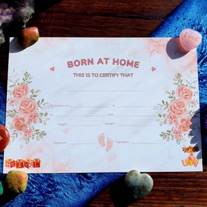 Geboorteakte Born At Home - roze