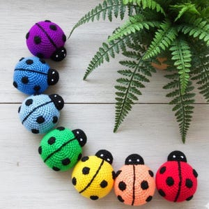 Könnte beinhalten: Eine Sammlung handgefertigter Häkel-Marienkäfer in verschiedenen Farben, darunter Lila, Blau, Grün, Gelb, Orange und Rot. Jeder Marienkäfer hat schwarze Punkte und einen schwarzen Kopf. Die Marienkäfer sind in der Nähe einer grünen Farnpflanze angeordnet.