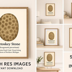 May include: A framed print featuring a Petoskey Stone illustration. The artwork displays a detailed, oval-shaped fossil with a honeycomb pattern in shades of brown. Text below identifies it as a Devonian fossil from Northern Michigan.