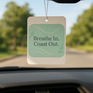 Ambientador para coche Coastal: Aromas de aromaterapia: coche nuevo, pino, hielo negro imagen 6
