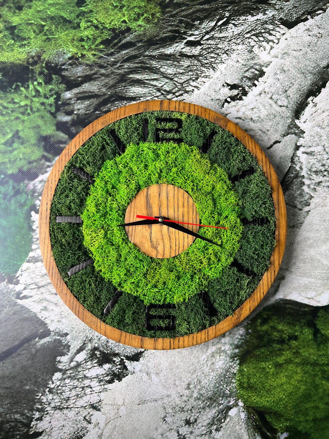 Moss Wall Clock, Custom Made Moss & Wood Wall Clock - Etsy