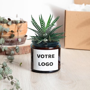 Peut inclure: Une petite plante succulente en pot dans un bocal en verre brun foncé avec une étiquette blanche qui dit "VOTRE LOGO". La plante a des feuilles rayées vertes et blanches. D'autres plantes et une boîte en carton sont en arrière-plan.