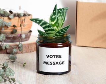 Pot de Fleur Personnalisé avec Message au Choix | Personnalisable | Pot avec Cactus ou Succulente | Annonce Grossesse, Mariage, Baptême