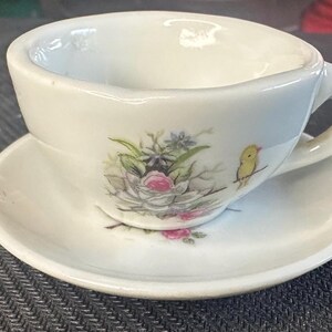 May include: A white porcelain teacup and saucer set. The cup and saucer are decorated with a floral design featuring pink roses, green leaves, and a yellow bird. The cup has a curved handle.