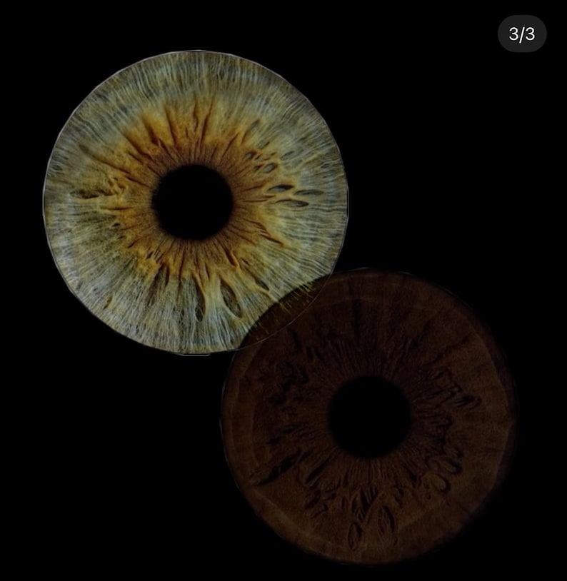 May include: Two circular coasters featuring high-resolution photographic prints of human irises. The top coaster displays a light hazel and gold iris with intricate radial fibres, while the bottom coaster shows a dark brown iris with subtle texture.