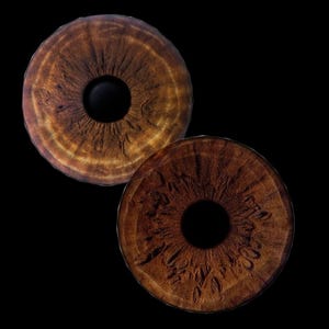 May include: Two circular, high-resolution depictions of human irises set against a solid black background. Each iris features a deep brown colour palette with intricate, radial fibre patterns and a prominent, perfectly centred black pupil.
