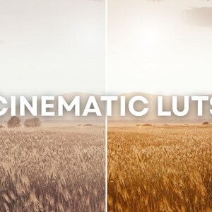 May include: Image with the text "CINEMATIC LUTS" overlaid on a split view. The left side shows a wheat field under a hazy sky. The right side features a woman in a pink dress in the same field, with the sun setting.