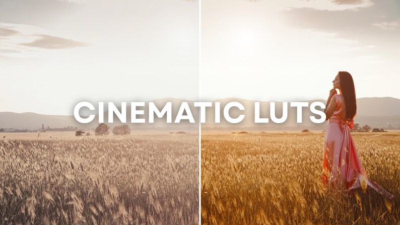 May include: Image with the text "CINEMATIC LUTS" overlaid on a split view. The left side shows a wheat field under a hazy sky. The right side features a woman in a pink dress in the same field, with the sun setting.