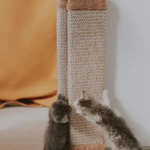 以下が含まれることがあります： 2匹の子猫がベージュ色の猫用爪とぎで遊んでいます。柱は長方形で、表面はざらざらしており、上部と下部は茶色のぬいぐるみです。1匹の子猫はグレー、もう1匹はグレーと白です。