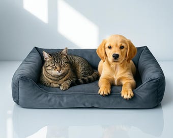 Modern Cat & Dog Bed – Handmade Cozy Couch Bed, Washable Luxury Durable Sofa Bed, Orthopedic Custom Bolster Bed, Gift for Cats and Dogs