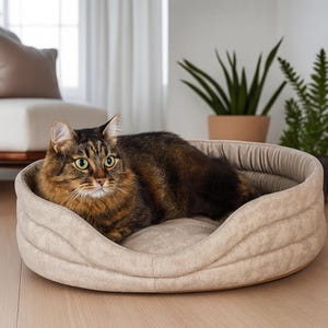 Modern Oval Cat & Dog Bed – Washable Bolster Water-Resistant Pet Bed, Cozy Indoor Cat Dog Bed, Handmade Small Dog Cat Bed, Gift for Pets