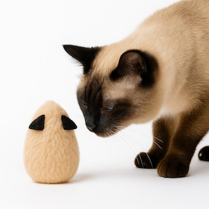 Handmade Plush Cat Toy – Eco-Friendly Mouse Cat Toy, Interactive Sensory Gift for Cat, Cat Enrichment Toy, Cute & Unique Custom Cat Gift