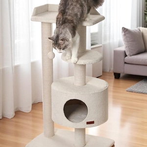 May include: A beige cat tree with multiple platforms and a scratching post. A grey and white cat is on the top level, looking down. The cat tree features a circular hideaway and a dangling toy.