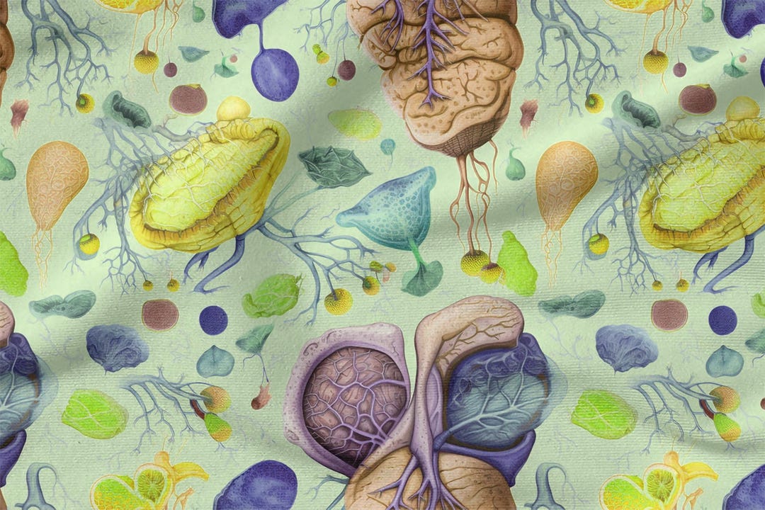 Human Organs Cotton 100%, Eco-print, Printed Cotton Fabric, Organs ...