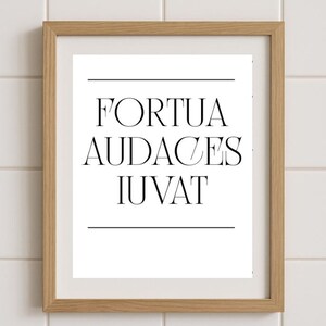 Fortune Favours the bold