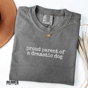 May include: A charcoal gray short-sleeve t-shirt with a crew neckline. The shirt features the white text "proud parent of a dramatic dog" printed on the chest. A thin silver-toned chain necklace with a small circular pendant rests on the fabric.