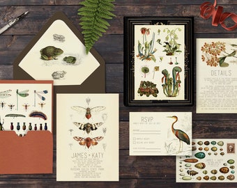 Wedding Invitation Suite: SAMPLE (Cabinet of Curiosities, noire, dark, eggs, feathers, birds, insects, locusts. moths, carnivorous plants)