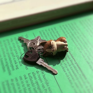 Peut inclure: Un porte-cl&eacute;s avec une figurine de chien marron et blanc attach&eacute;e &agrave; un jeu de cl&eacute;s. Les cl&eacute;s reposent sur un livre vert avec du texte. La figurine de chien est le point central de l'image.