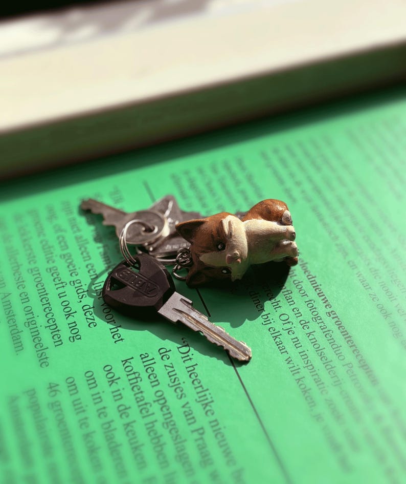 Peut inclure: Un porte-cl&eacute;s avec une figurine de chien marron et blanc attach&eacute;e &agrave; un jeu de cl&eacute;s. Les cl&eacute;s reposent sur un livre vert avec du texte. La figurine de chien est le point central de l'image.