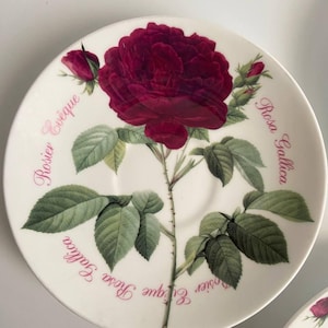 Roy kirkham plate - Etsy 日本