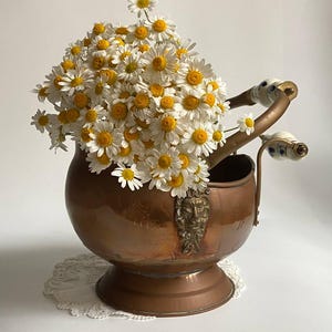 Antique Dutch Copper Jardiniere, Porcelain Handles, Mythical Creature Planter