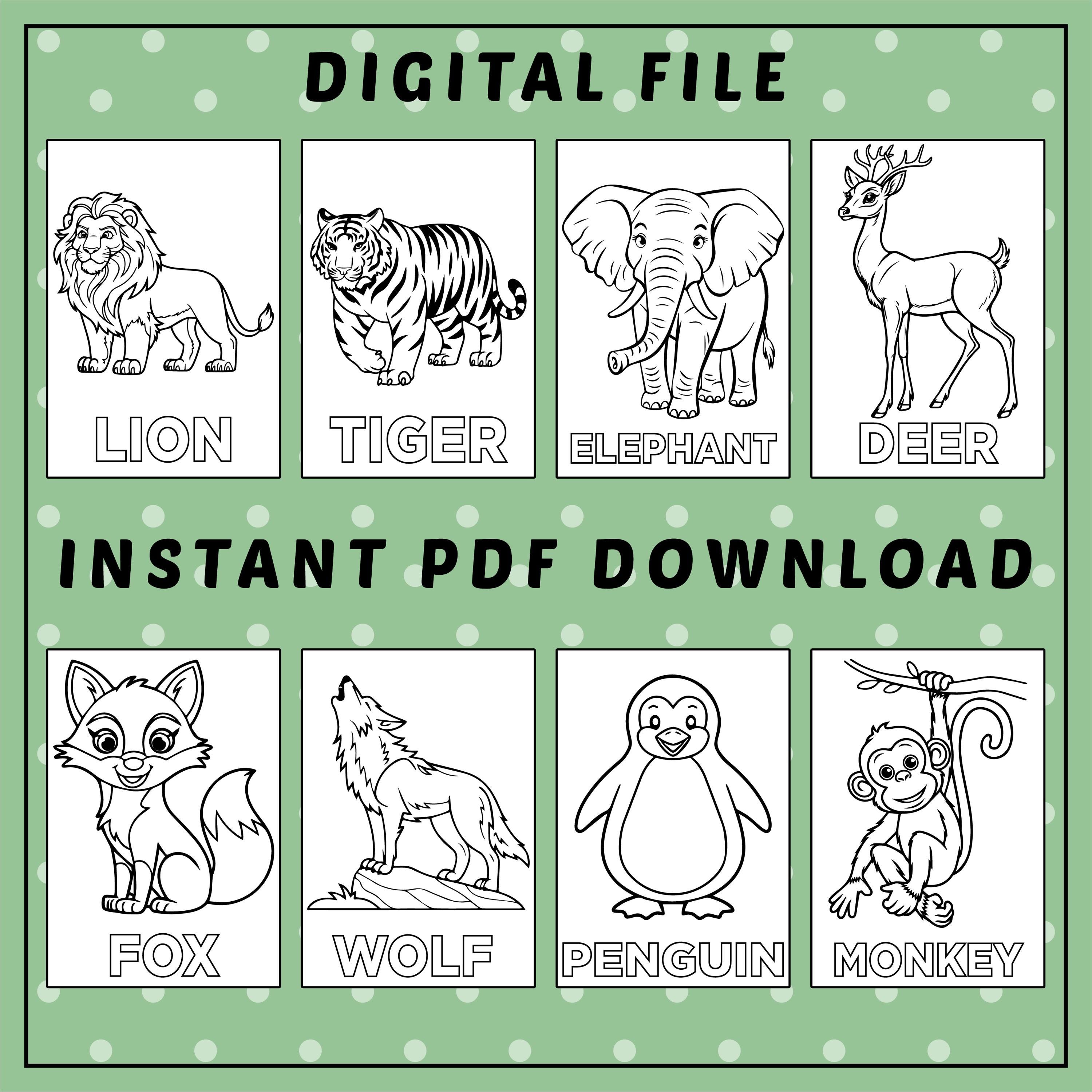 20 Wild Animals Coloring Pages for Kids: Jungle Safari Activity Book - Etsy