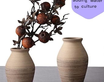 May include: Two beige ceramic vases with a textured, two-tone design. One vase holds a branch with brown, round fruit and dark leaves. The image includes the text "suitable for adding water to culture."