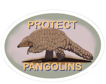 Protect Pangolins Hand-drawn Paper Stickers - Eco Decor, Animal Lover Gifts, Laptop/Mug/Travel Stickers, Wildlife Awareness, Conservation
