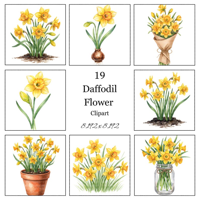 Watercolor Daffodil Clipart Bundle: Spring Flower, Yellow Flower ...