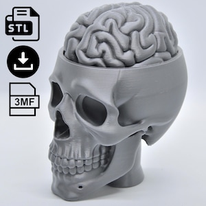 Realistic Brain Skull STL File, Printable Ready File for Desk Figure, 3MF Skull for 3D Printer, Instant Download Stl Figurine
