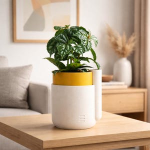 May include: A modern white and yellow planter with a green plant. The cylindrical planter has a white base and a yellow top section. The plant has large, textured green leaves. The planter is on a wooden table.