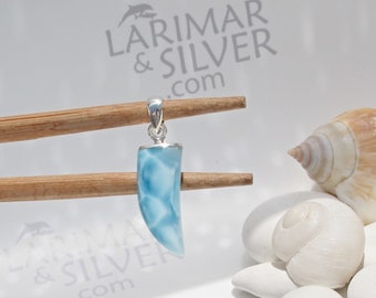 Wild Larimar men pendant, Hunting Sea Dragons 18 - reversible turquoise Larimar fang pendant 925 silver lizard scale fast delivery best gift