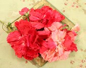 Antique 11 quot wide silk velvet flower gorgeous 1920s millinery trim cloche flapper hat bonnet edwardian flapper rare hot pink carnations dress