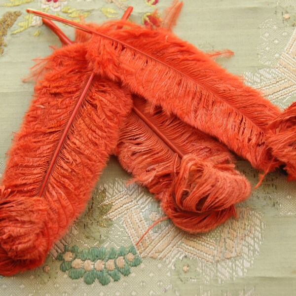 Antique coppery coral curl shaped ostrich plume pieces 1920s millinery hat 1920 feather 1900 trim cloche bonnet B