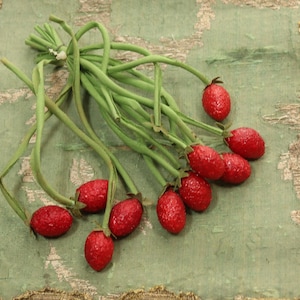 May include: A bundle of artificial strawberries with green stems and leaves. The bright red berries are clustered together, creating a vibrant contrast against the green stems. The stems are tied together at the base.