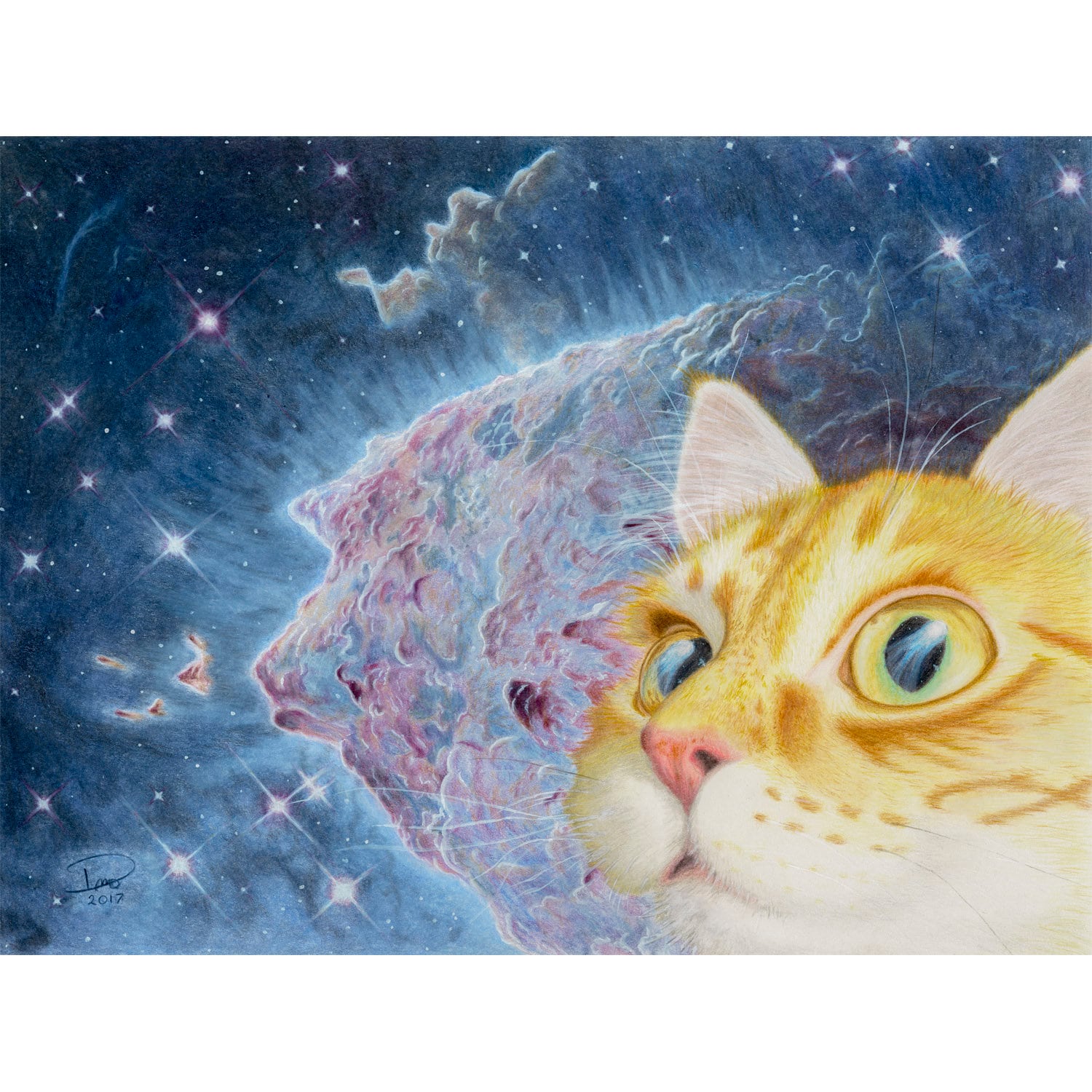 Orange Tabby Cat In Space Colored Pencil Cat Art Drawing Etsy