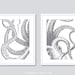 Elyse Maxwell reviewed Octopus Prints - Set of 2 unframed prints - 5x7 or 8x10 - Nautical Wall Art - Octopus Wall Art - Nautical Decor - Octopus Art